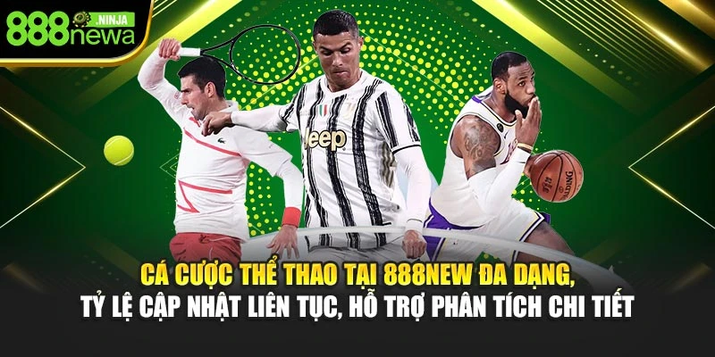 Cá cược thể thao tại 888NEW đa dạng, tỷ lệ cập nhật liên tục, hỗ trợ phân tích chi tiết