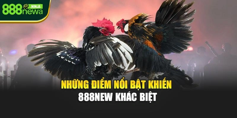 Những điểm nổi bật khiến 888NEW khác biệt